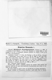 Image Associated With the Occurence
